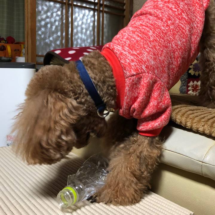 C01d7451 973a 4d9d 852f cefe265774b5 1548242997603