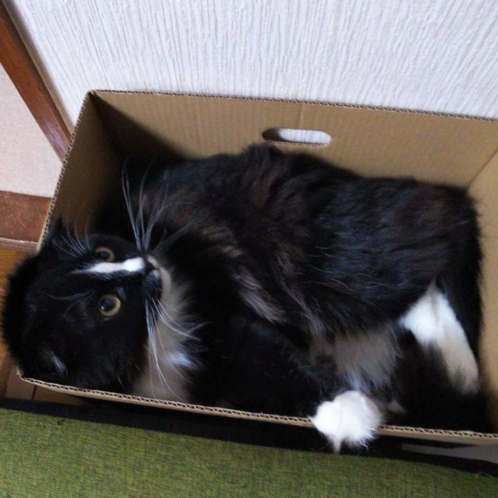 C01d882e c831 43ee 8bd9 7c08b3b0a026 1650491852278