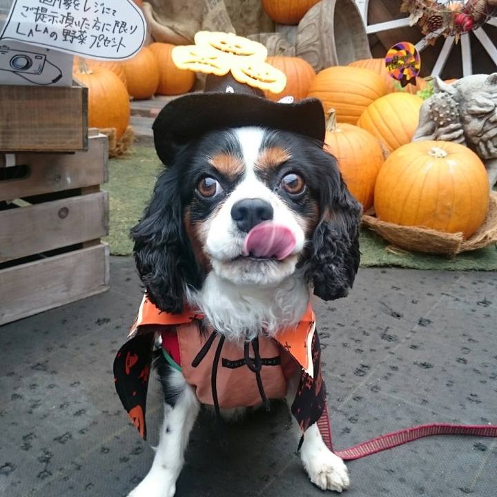 C01d9d4b cdb2 49fa b1e3 d24a79460933 1508631347348