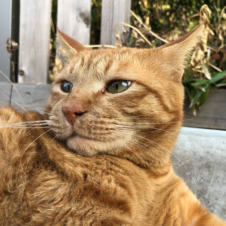 C01db7d2 9d2c 4632 b36c 2966e7d3a063 1521103709147