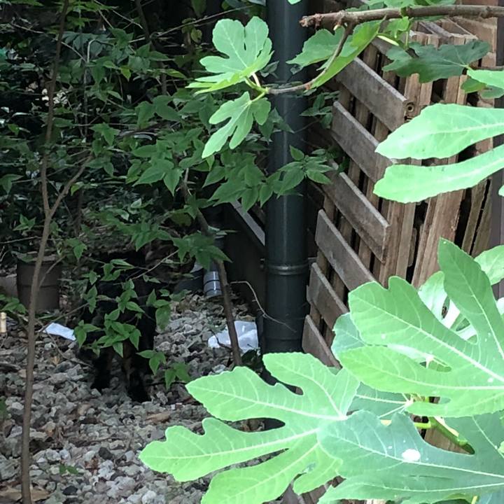 C01dcd94 f8eb 4b90 902e 8c5ae8d67915 1525314796596