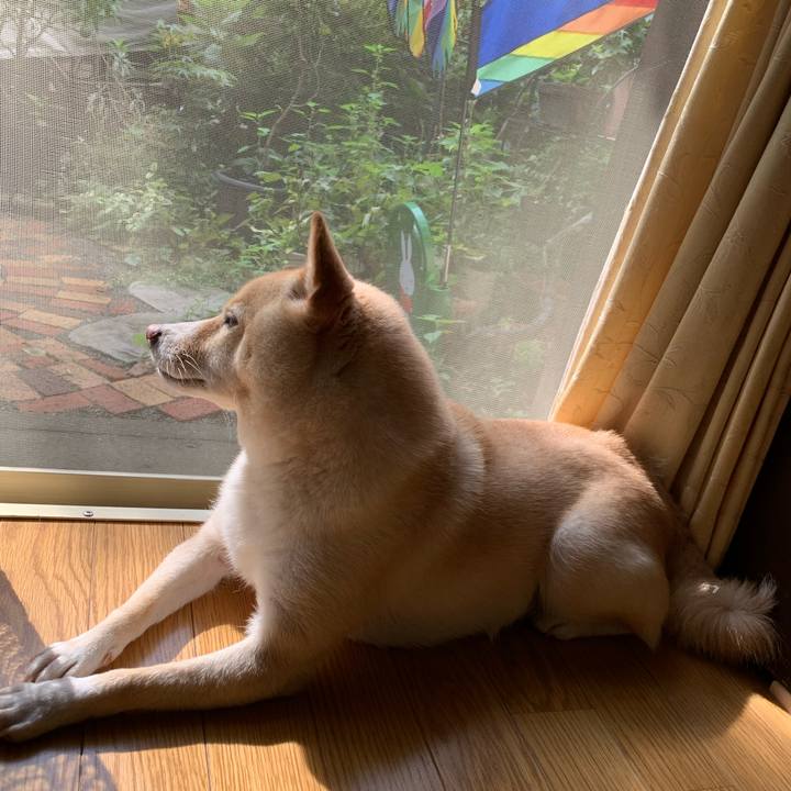 C01e0139 52a7 481d b4c3 3036df37e155 1631663679076