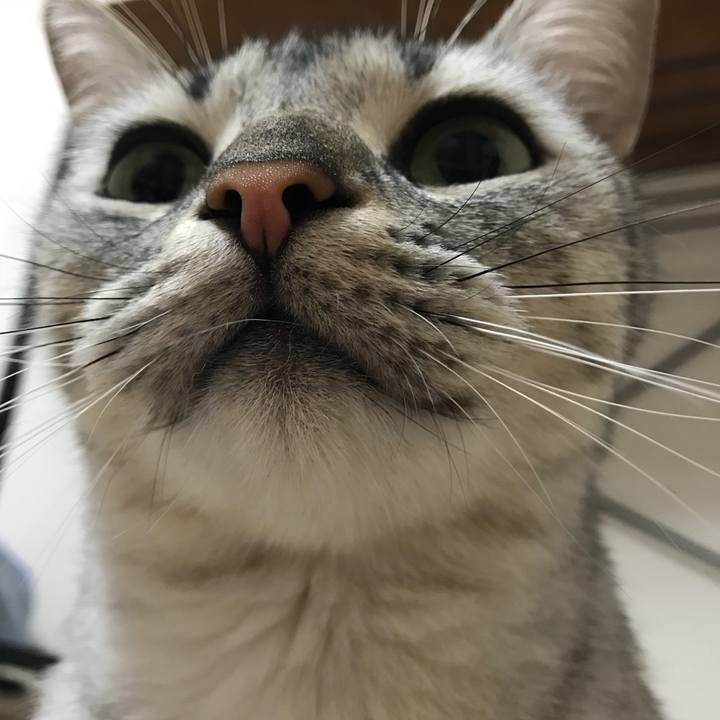 C01e24fb d5b5 4db4 82aa 1efa9d26b542 1537829788335