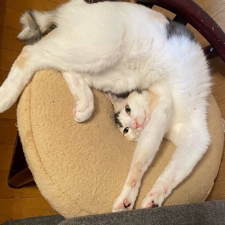 C01e4267 c798 4705 b157 3c3124596d9d 1728352560002