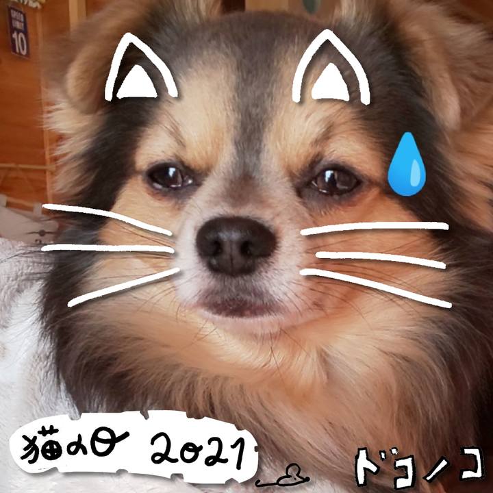 C01eb971 e509 40d3 a57a 401d2ac970dc 1613966069438