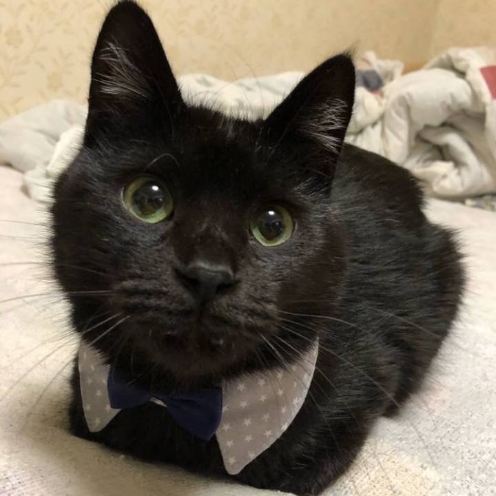 C01ecd8c bd2a 49c2 9f0b 2fa039a5c205 1647762630582