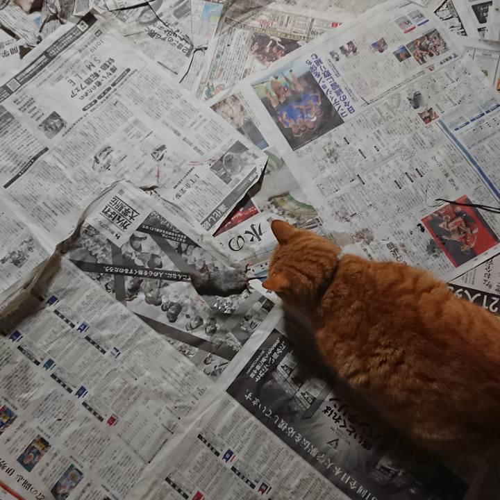 C01edb0a 875b 4fff 97d7 a87af95f841e 1581594918412