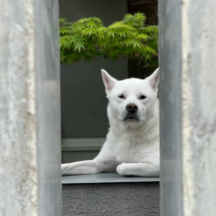 C01f205a 7337 49da 9bb0 bc0c4e94fee7 1649647967514