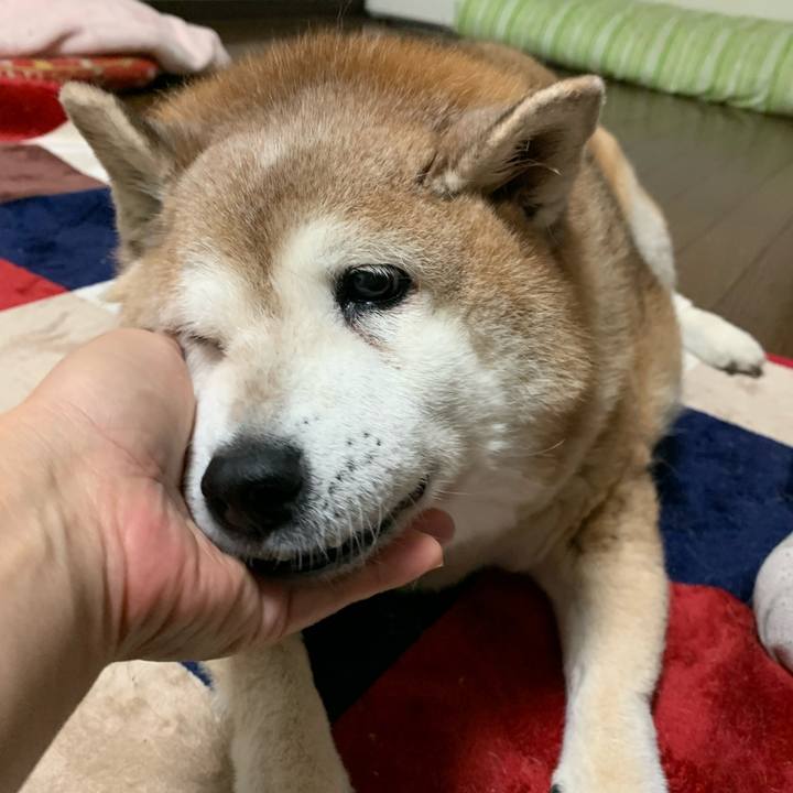 C01f45d5 2ee1 4319 8168 f835fda23b9a 1631358952508