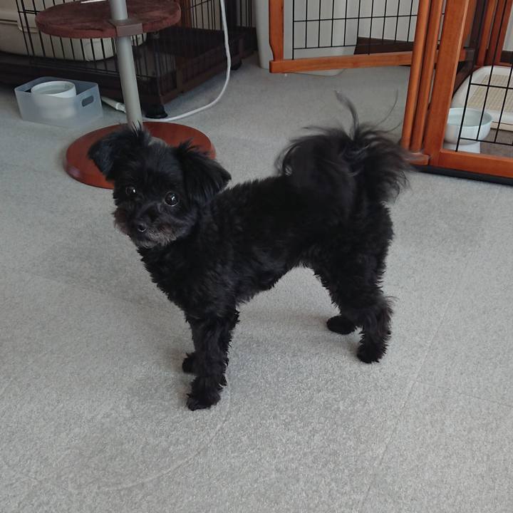 C01f5510 7260 460e 9310 e9d69bf114f7 1516513956001