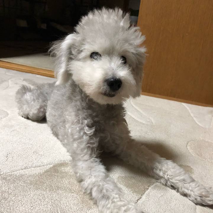 C01f56bd 867a 4626 b8c9 8b4571ce942f 1624751208708