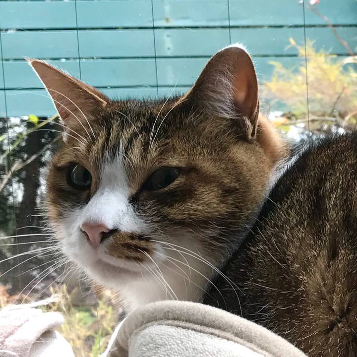 C01f6a86 438a 4c19 8e7c f0073a87852d 1514789701497