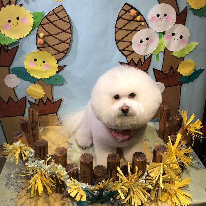 C01f6bd0 cec8 46b6 b95f 44c1f03e923b 1614140846444