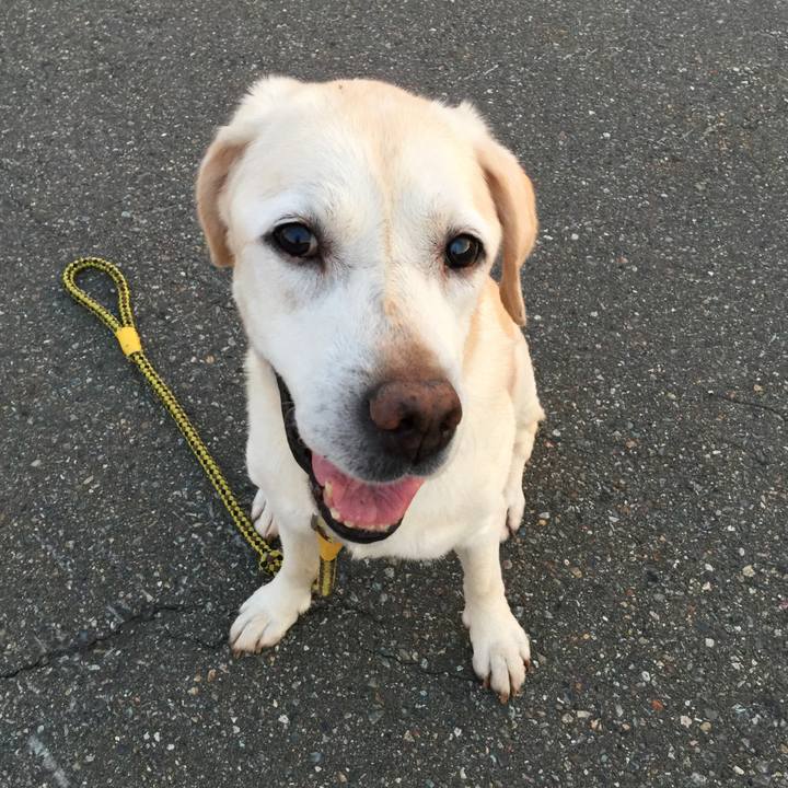 C01f8572 8637 4e51 9c9e 1724985fe5d9 1534589961054