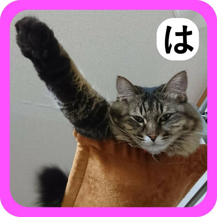 C01f9a42 e27b 4497 83ef a98e7646c333 1515340137825