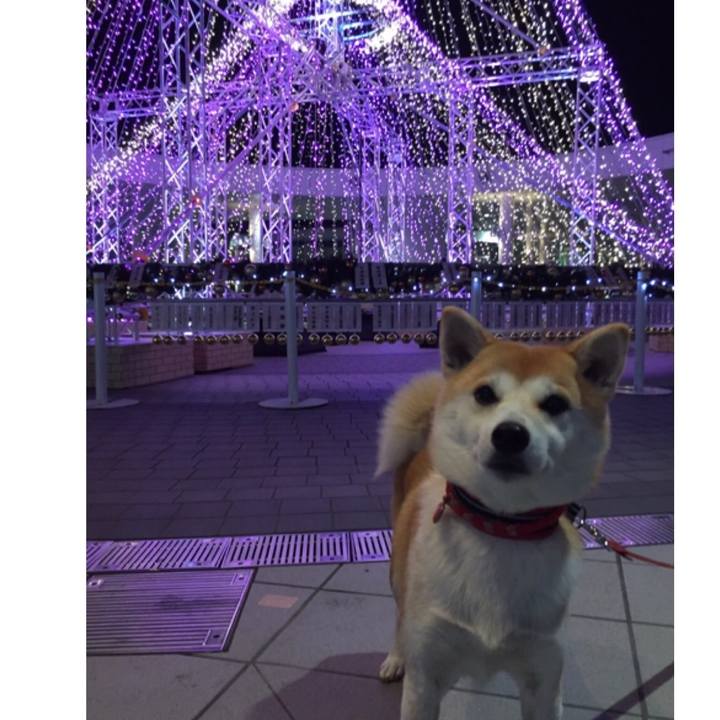 C01fa06c 92a5 463b b827 cf96242ca102 1512645239207