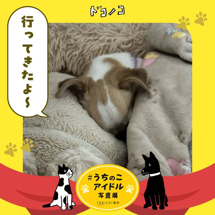 C01fccbf e935 47ed a35f 251b5126b394 1762178772492