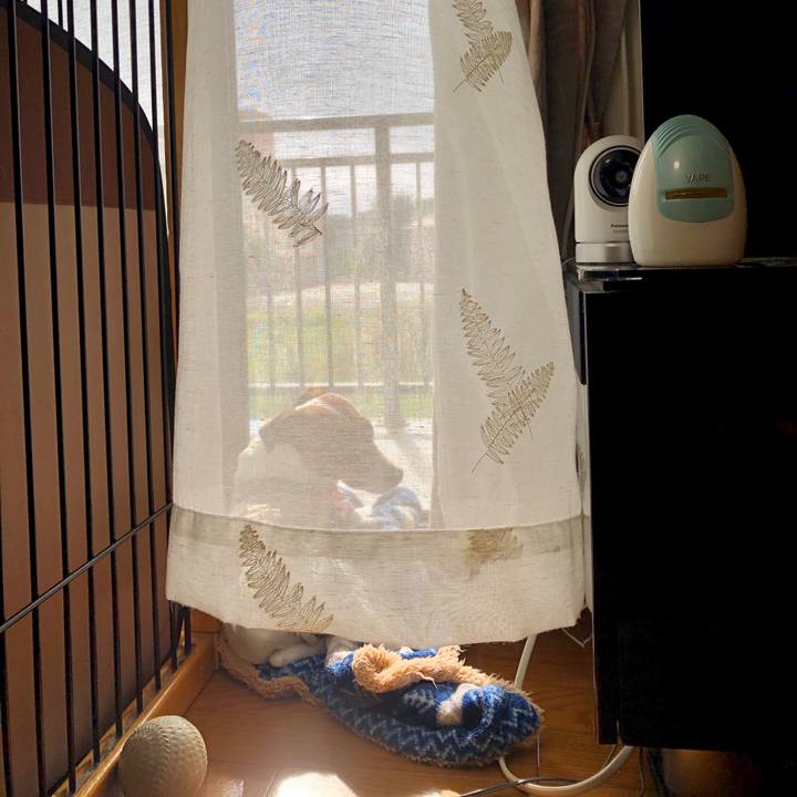 C01fdedb 8e8b 4ddf 8068 1f49e2ff375a 1599781567897