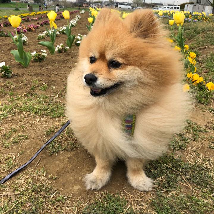 C01fe428 0b50 4198 960a 06af82e6c1f9 1585374887354