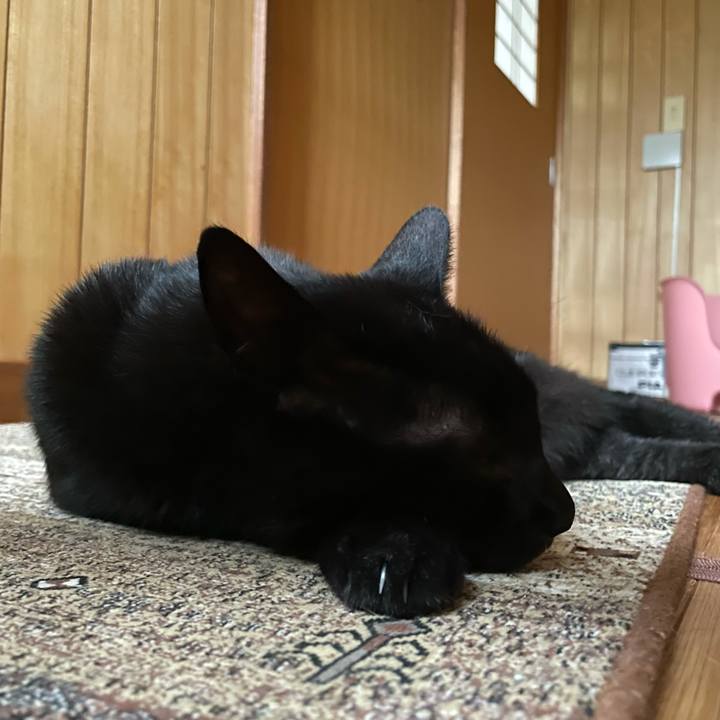 C01ffebe f3a1 44ec a454 1aae4667c73d 1628903314070