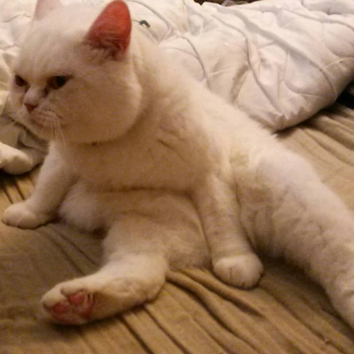 C02065a5 69b7 400a 8e98 d9cccdc02ba8 1531698416457