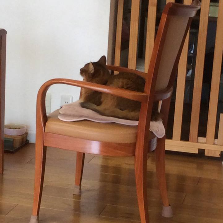 C02068b5 c303 4377 8cb9 70ffe69150ac 1630557843206