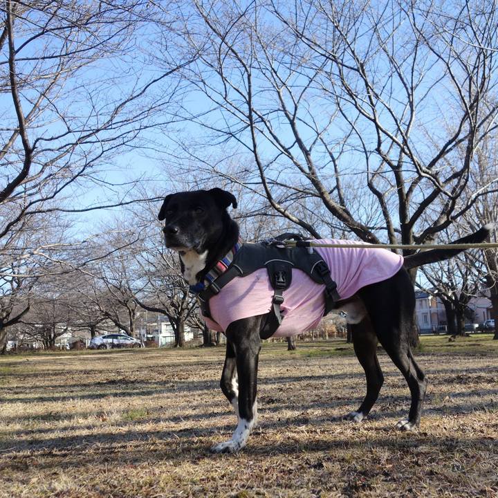 C0207117 cf29 4aa6 8ab4 3f246170e515 1645578115405