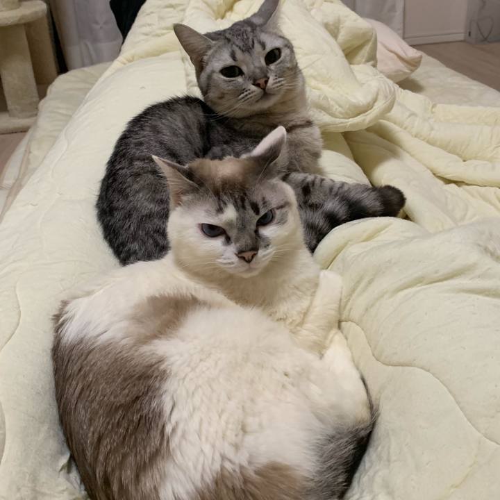 C020af7b 1b82 4bdc 91e8 a89b2683ef42 1555409731775