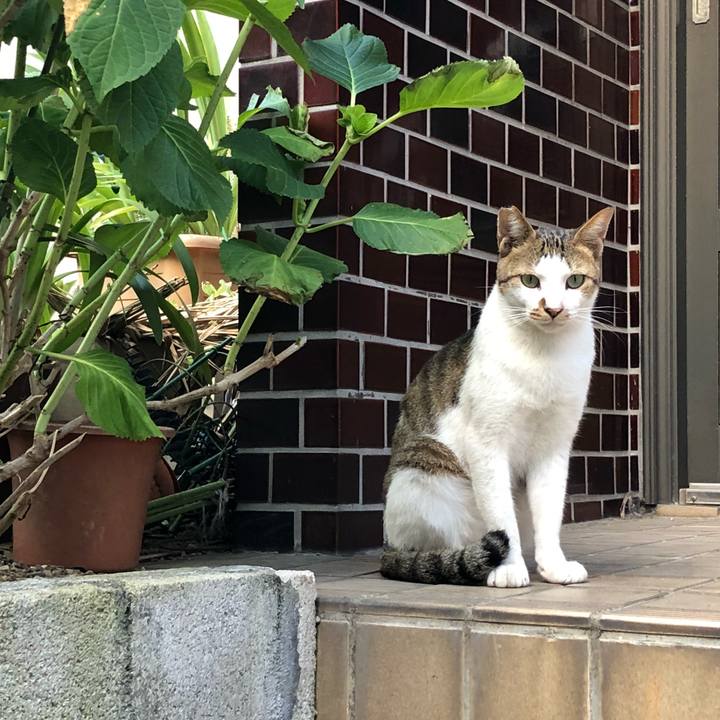 C020b0eb 356b 4513 930d 3c81c304b9d2 1535657965126