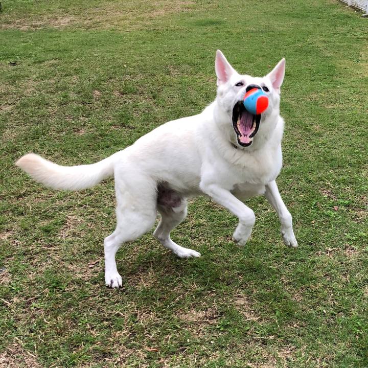 C020c2fa 1b82 4590 83c8 5b13ccfdca64 1564904455093