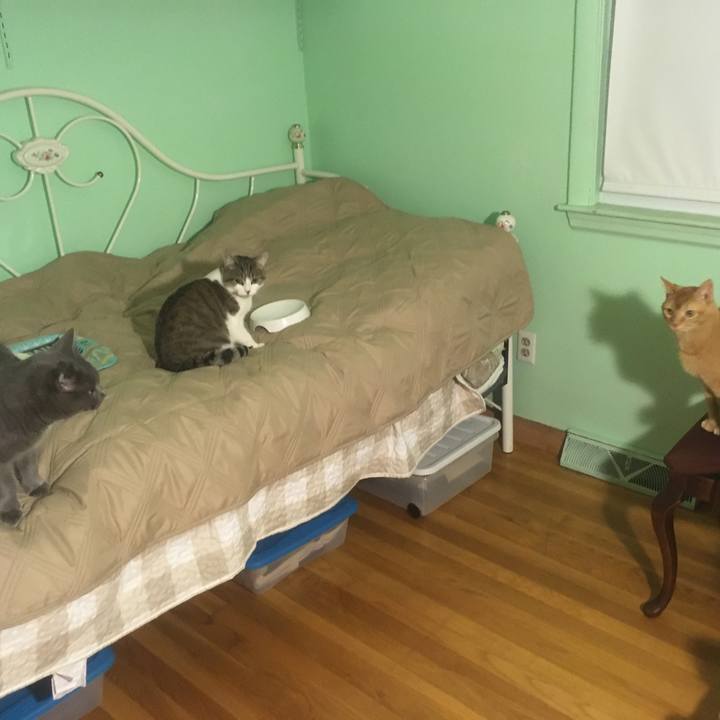 C020c408 2e3b 4549 b5f8 8321508dae69 1633047899042