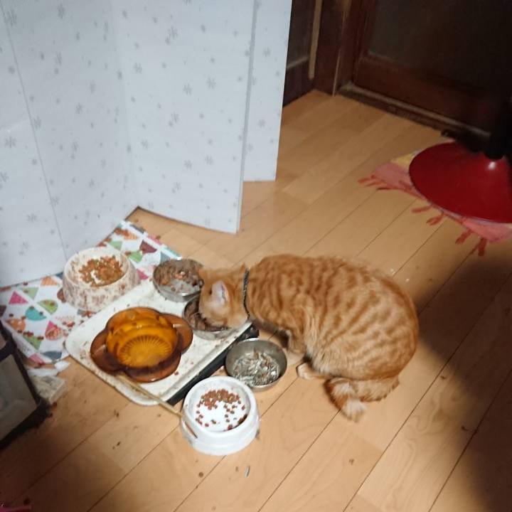 C020d37a ccea 4d9d ae53 2dec255ccbbc 1646168772043