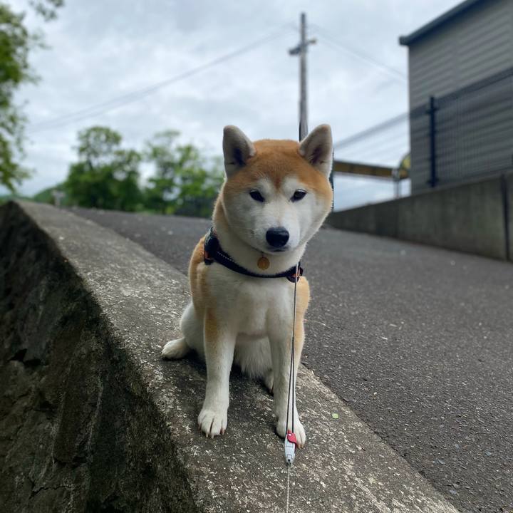 C020e735 a3d2 4f30 b927 4b8cf6865ce1 1653957596986