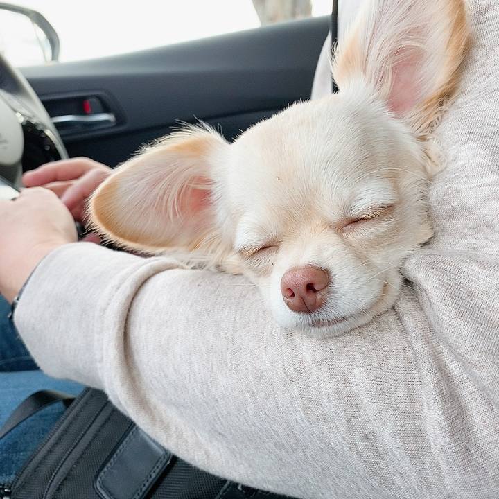 C0211a44 4dbe 4f81 9a0d d699d2bc21fd 1610423050603