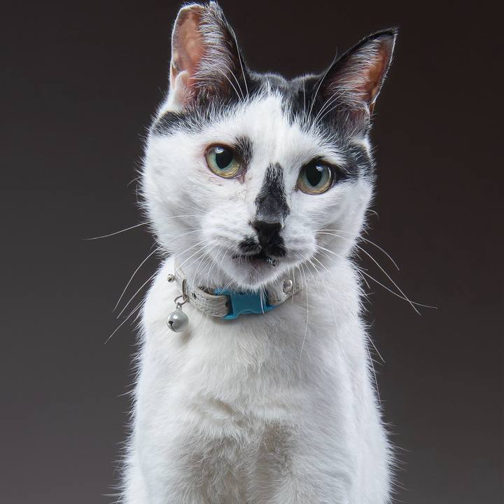 C02166eb 54bc 44d7 bfea dc2d3b763a58 1772692880380