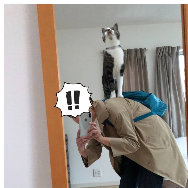 C0218bec db5c 4fd8 ab80 bc02344811dd 1540290800963