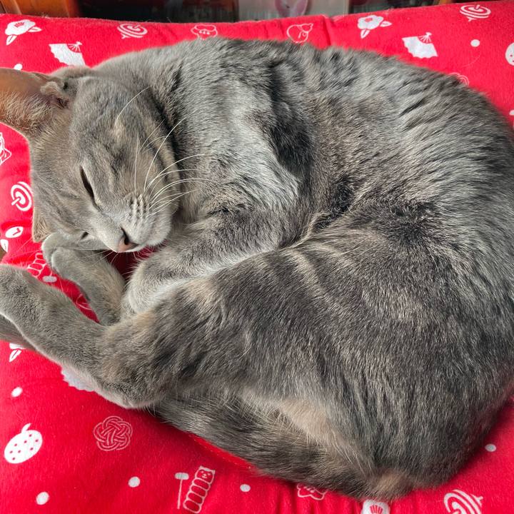 C0218f04 d1dc 4cf3 993e 32f8f5b5c687 1609467046603