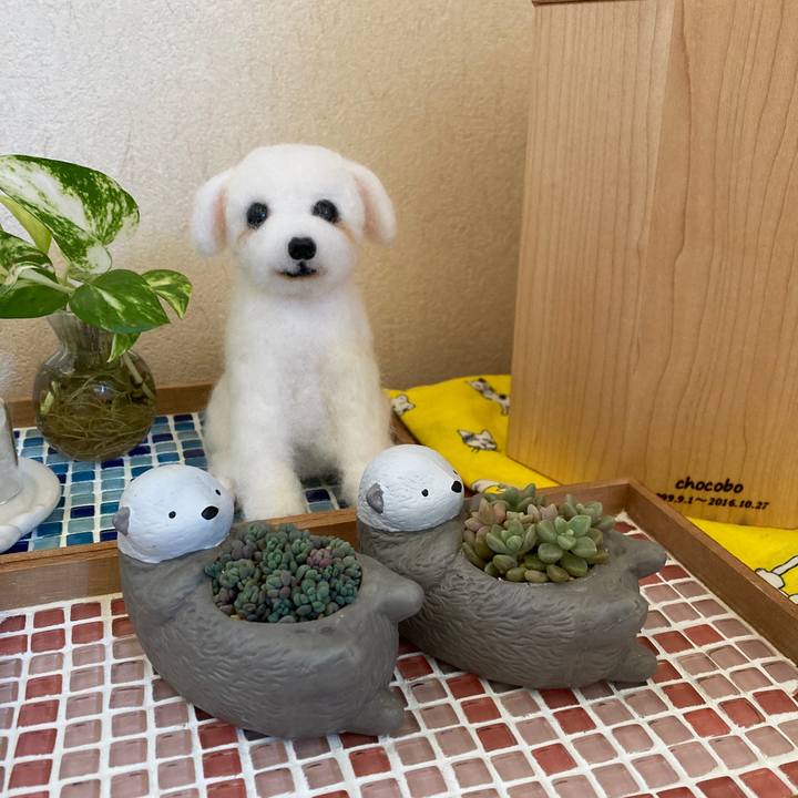 C0218f7a 4857 440f a3d5 b27d7328f570 1685760741999