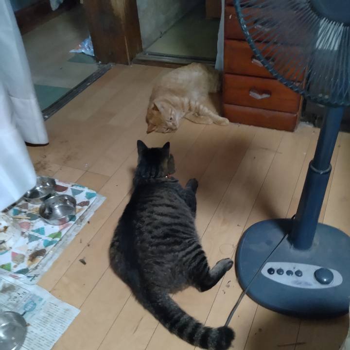 C021cc55 dea7 4eb4 b7bc b5abb2ea4fd8 1691403618940