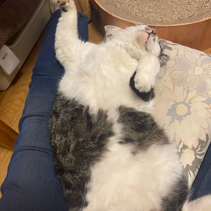 C021fab0 48d6 439d 90c9 51606397fbd9 1710506946223