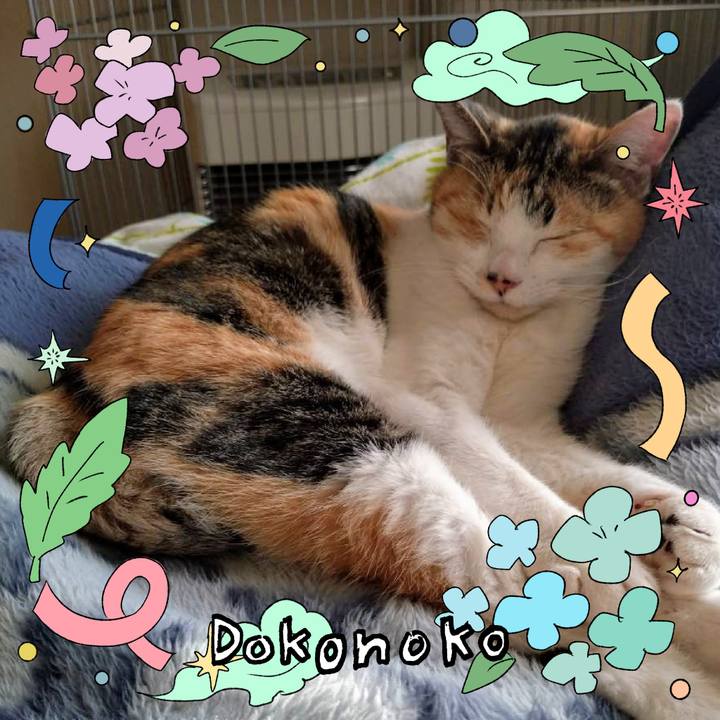 C0228bf2 e31b 423e a4e4 b4bfddf31712 1718099455629