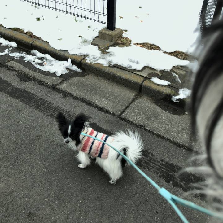 C022bcb9 12f1 42a0 abde fb1cb77a406a 1517110457999