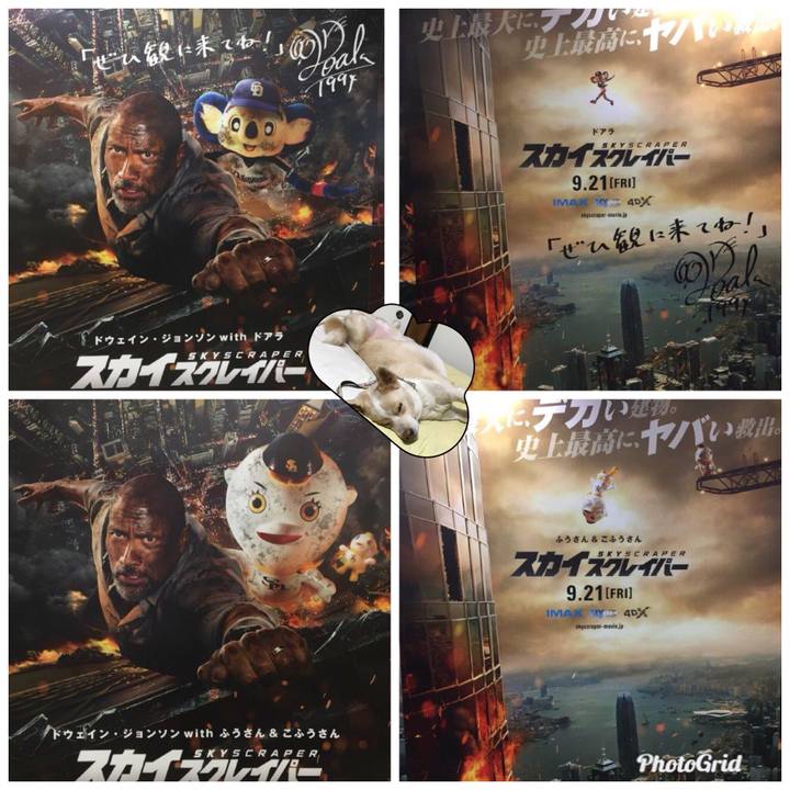 C022d23c 8a0c 48d6 89b8 6545ecb6493a 1537957901667