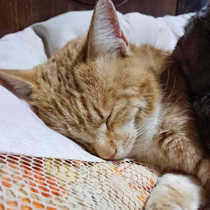 C022e2f3 6729 461a 97d0 6f8b878adfb0 1584795040697