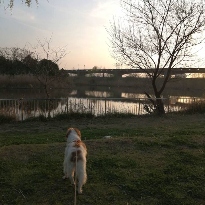 C0230c1c 1a4a 441f a0aa 2f54fa20b997 1615980060324