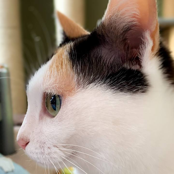 C02315bc 2aff 4c97 8c9c 84733cf4af7e 1593223263215