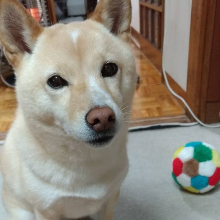 C0231bd3 4e10 4b1b 8244 181f592fd9b7 1610623448097