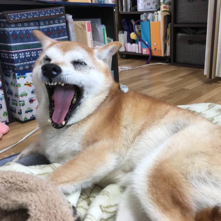 C0231c13 c48d 4486 8cbb 700de980d424 1525033794386