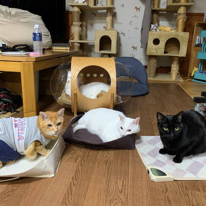 C0232a73 5c00 4f3a 94a1 c15df4623baa 1614940154113