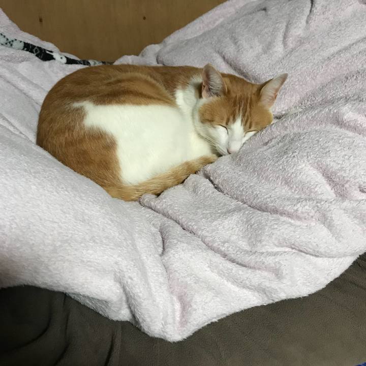 C023333e 3938 4a03 9d38 67a3e6b0de1f 1516106098926